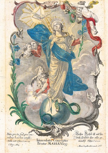 Andachtsbild groß immaculata - groß,